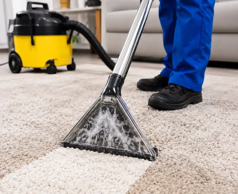 Carpet Steam Cleaning